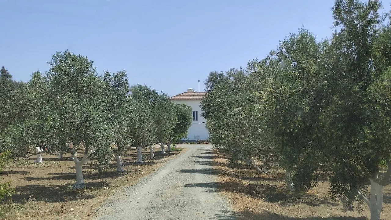 Kiti Village Villa, Cyprus, Salt-Water Pool, 6 Bedrooms, Larnaca 0*,  Cyprus